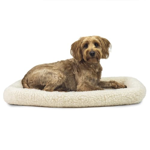 Bolster Pet Bed, Small